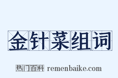 金针菜组词是什么意思的图片